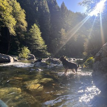 Sierra Pines Resort - American Near Me - Sierra City, California Sierra Pines Resort - American Near Me - Sierra City, California