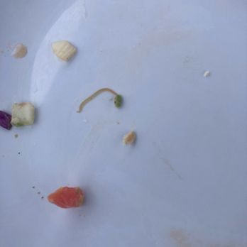 Pier 16 - Worm, moving and wriggling on plate. - Cocktail Bars Near Me - Tybee Island, Georgia Pier 16 - Worm, moving and wriggling on plate. - Cocktail Bars Near Me - Tybee Island, Georgia
