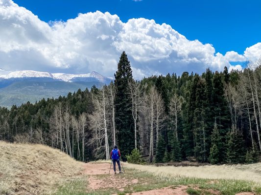 Mueller State Park by null
