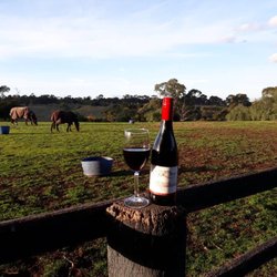 Arundel Farm Estate Winery