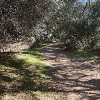 Buena Vista Park - A walking path - Parks Near Me - Vista, California