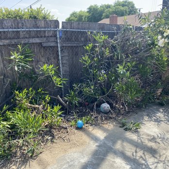 CM Landscaping Services - Tree Services Near Me