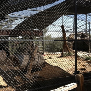 Heritage Park Zoological Sanctuary - Zoos Near Me - Prescott, Arizona