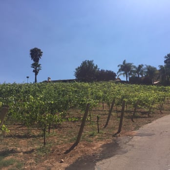 Estate D'Iacobelli - Wine Bars Near Me - Fallbrook, California