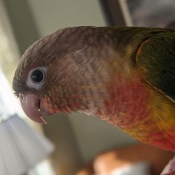 Fins, Feathers, Paws and Claws - Our baby boy