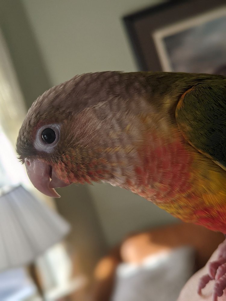 FINS, FEATHERS, PAWS AND CLAWS Updated September 2024 14 Reviews