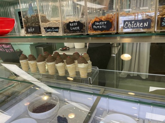Salty Paws Doggy Ice Cream Bar And Bakery by null