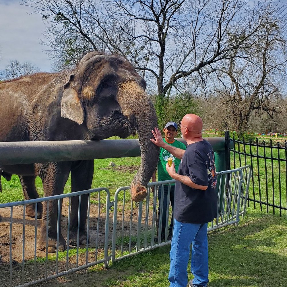 Endangered Ark Foundation - Feeding - Community Service/Non-Profit Near Me Endangered Ark Foundation - Feeding - Community Service/Non-Profit Near Me