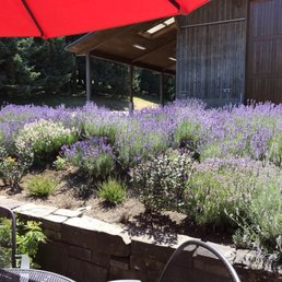 Lavender!