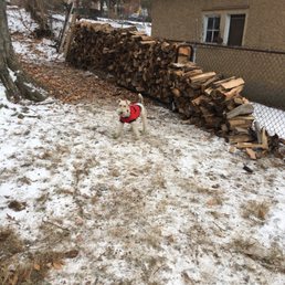 Wood delivered and we stacked it ourselves!