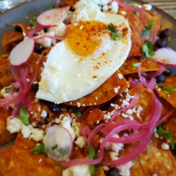 The Garden Table - Chilaquiles - Breakfast & Brunch Near Me - Indianapolis, Indiana The Garden Table - Chilaquiles - Breakfast & Brunch Near Me - Indianapolis, Indiana