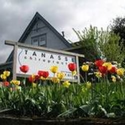 Tanasse Chiropractic