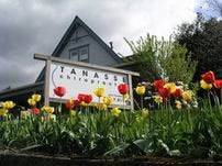 Tanasse Chiropractic