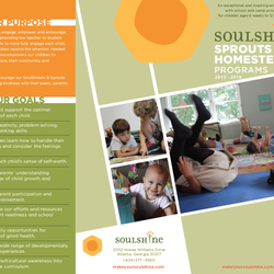 SoulShine Kirkwood