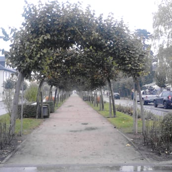 Strandstraße Baabe - Landmarks & Historical Buildings Near Me - Baabe, MV