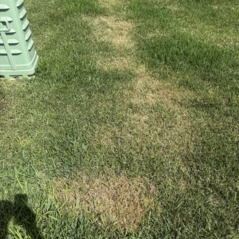 TruGreen Lawn Care - Tree Services Near Me - Oldsmar, Florida TruGreen Lawn Care - Tree Services Near Me - Oldsmar, Florida