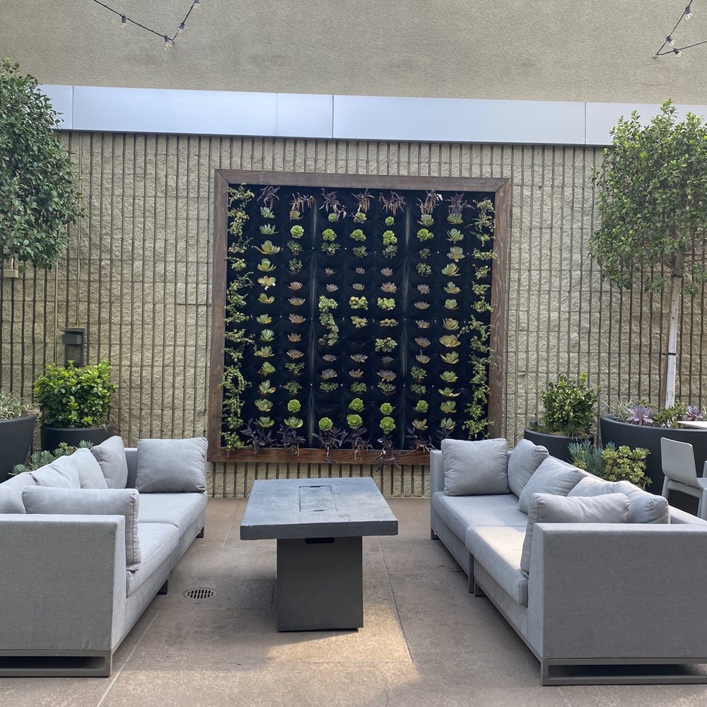 Hilton Pasadena - Hotels Near Me - Pasadena, California Hilton Pasadena - Hotels Near Me - Pasadena, California
