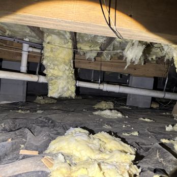 DNA Pest Control - Rodent damage - Pest Control Near Me - Carthage, North Carolina DNA Pest Control - Rodent damage - Pest Control Near Me - Carthage, North Carolina