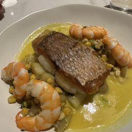 Red Snapper