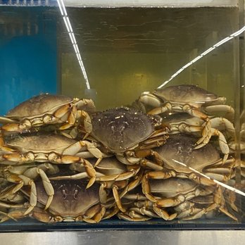 Hong Kong Market - Dungeness crab - International Grocery Near Me - Kent, Washington