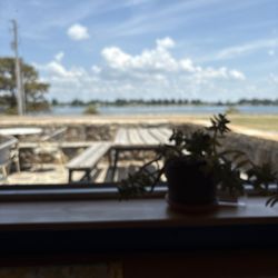 Chicot Coffee And Cafe - View from inside