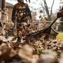 Photo of Carlisle Family Landscaping