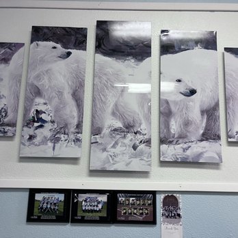 Polar Bear Rolled Ice Cream - Ice Cream & Frozen Yogurt Near Me - Oakley, California