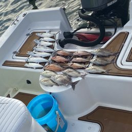 Our catch Our catch