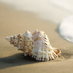 Chatham Beach Salon - Relax and Renew
