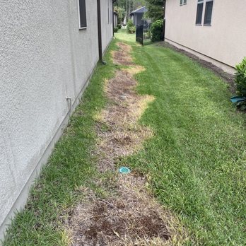 Green Earth Solutions - Pest Control Near Me - Jacksonville, Florida Green Earth Solutions - Pest Control Near Me - Jacksonville, Florida