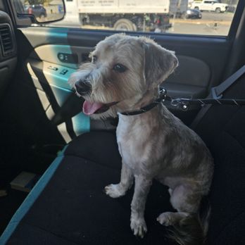 Bath & Biscuits - Pet Stores Near Me - Sacramento, California
