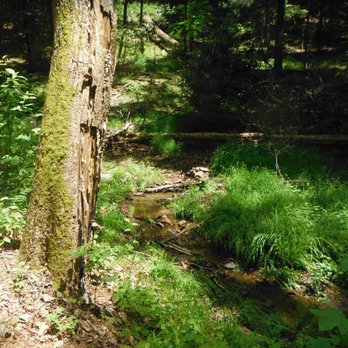Rendevous State Forest - Rendevous State Forest - Hiking Near Me - Purlear, North Carolina