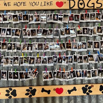 The Crack Shack - Doggie love - New American Near Me - Encinitas, California