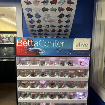 Mike's Feed & Pets - Betta fish - Pet Stores Near Me - San Leandro, California Mike's Feed & Pets - Betta fish - Pet Stores Near Me - San Leandro, California