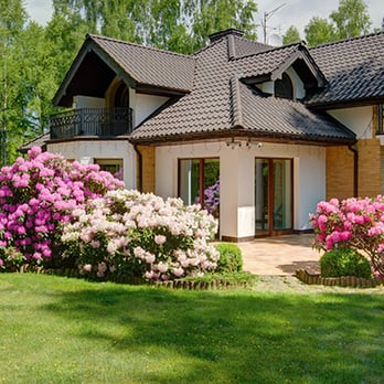 The Gardner's - a house with a lawn and flowers - Landscaping Near Me - Lacey, Washington The Gardner's - a house with a lawn and flowers - Landscaping Near Me - Lacey, Washington