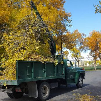 Larned Tree Service - Billings, Laurel, Montana Tree Service. - Tree Services Near Me - Laurel, Montana Larned Tree Service - Billings, Laurel, Montana Tree Service. - Tree Services Near Me - Laurel, Montana