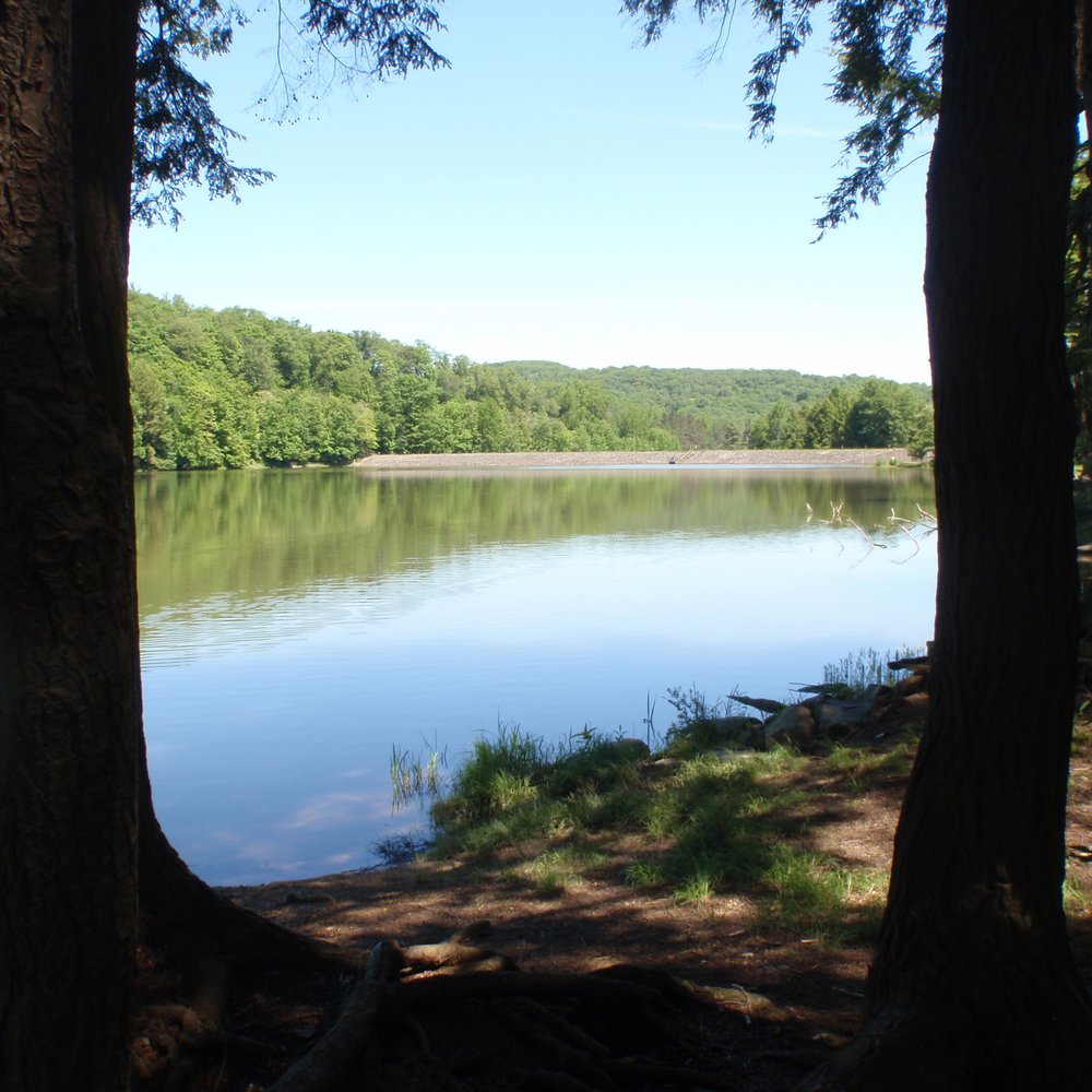 Chapman State Park - Chapman State Park Lake - Parks Near Me - Clarendon, Pennsylvania Chapman State Park - Chapman State Park Lake - Parks Near Me - Clarendon, Pennsylvania