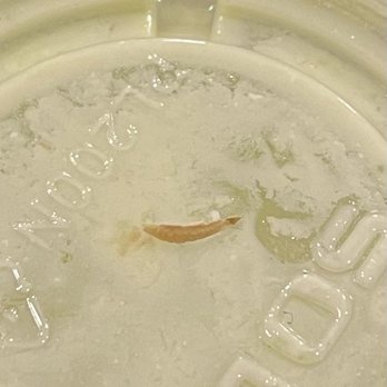 Kabob mix - Close up of what looks and feels like a fingernail found in my samosa. - Food Trucks Near Me Kabob mix - Close up of what looks and feels like a fingernail found in my samosa. - Food Trucks Near Me