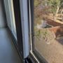 Window Screen Solutions And More
