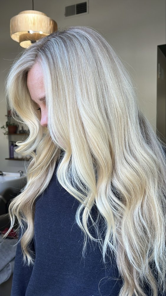 Mane Haven Salon Logo