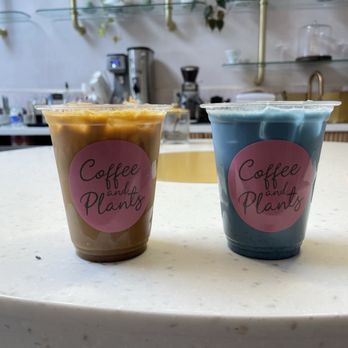 Coffee and Plants - Blue lavender Latte - Coffee & Tea Near Me - Studio City, California Coffee and Plants - Blue lavender Latte - Coffee & Tea Near Me - Studio City, California