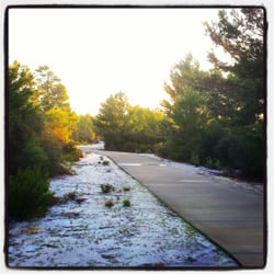 Seabranch Preserve State Park - Main paved trail.