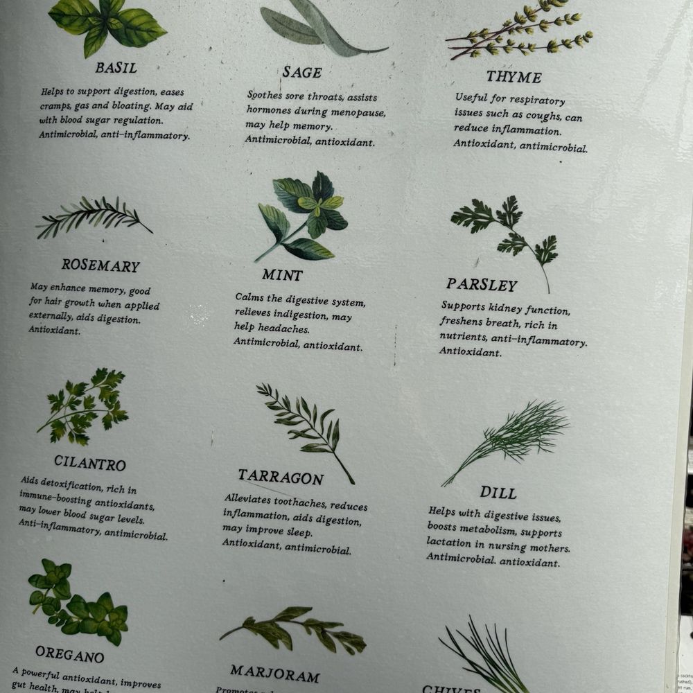 Half Moon Bay Nursery - types of herbs - Nurseries & Gardening Near Me - Half Moon Bay, California