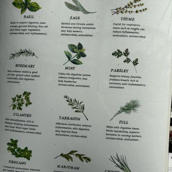 Half Moon Bay Nursery - types of herbs - Nurseries & Gardening Near Me - Half Moon Bay, California Half Moon Bay Nursery - types of herbs - Nurseries & Gardening Near Me - Half Moon Bay, California