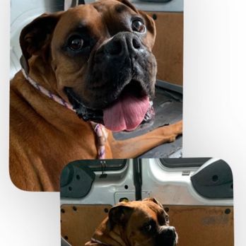 Happy Tails Travel - Travel Services Near Me Happy Tails Travel - Travel Services Near Me