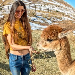 Smooth Alpaca Experience