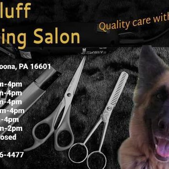 Foxy Fluff Grooming Salon - Pet Groomers Near Me - Altoona, Pennsylvania Foxy Fluff Grooming Salon - Pet Groomers Near Me - Altoona, Pennsylvania