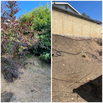 Arturo's Tree Service - Tree Services Near Me