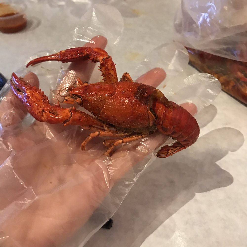 Bag O' Crab - Seafood Near Me - Berkeley, California Bag O' Crab - Seafood Near Me - Berkeley, California