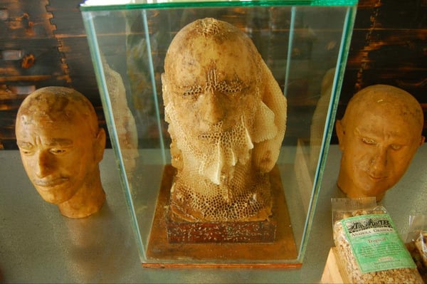 Big Island Bees by null